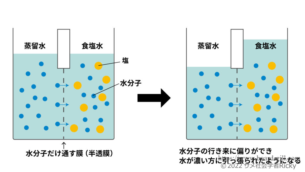 浸透圧イメージ