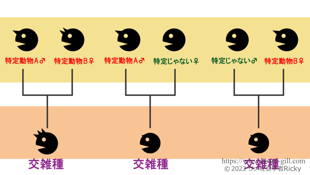 特定動物同士または特定動物と非特定動物の雑種も特定動物になります。