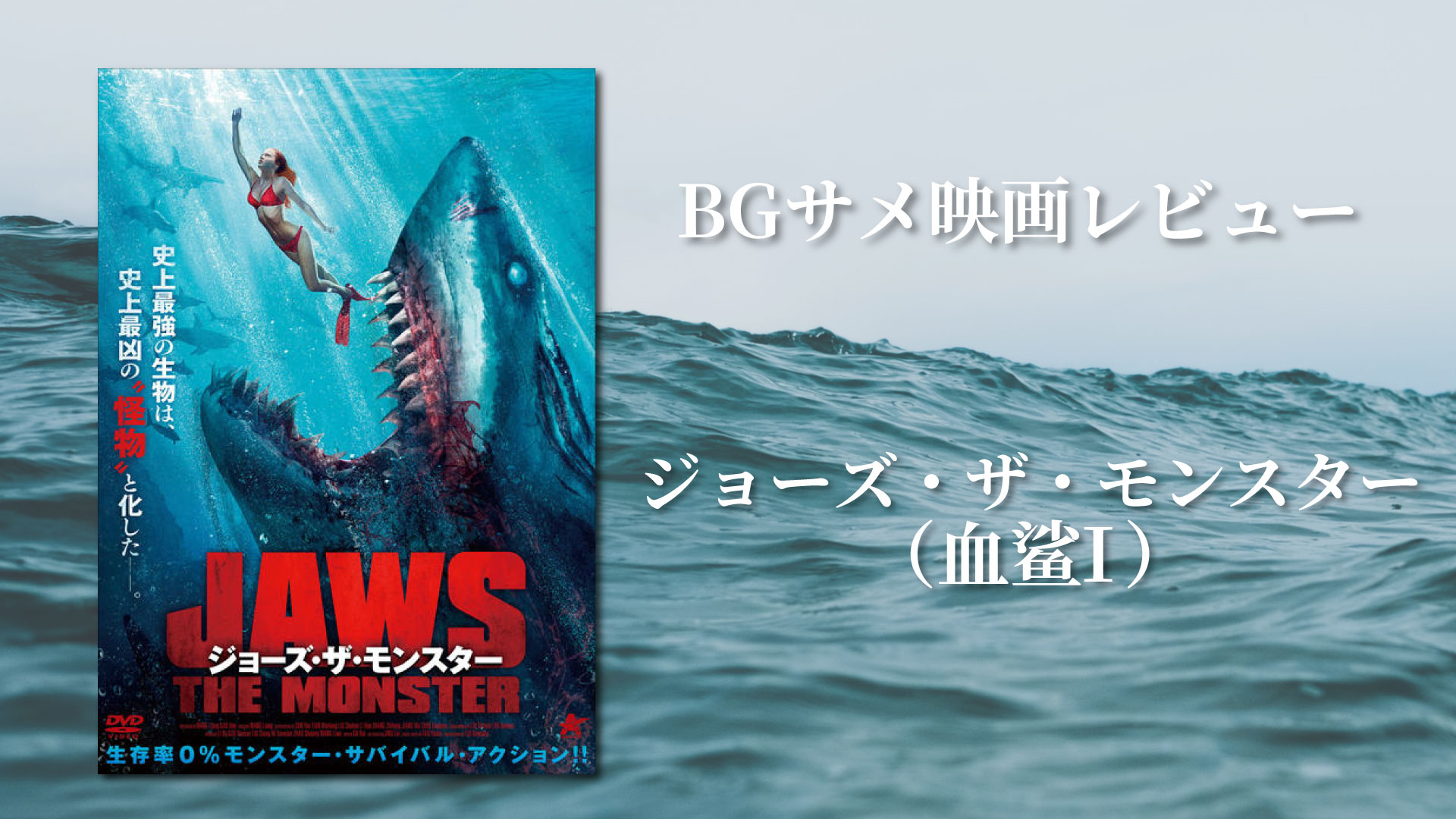 新作 大人気 DVD MEG ザ モンスター