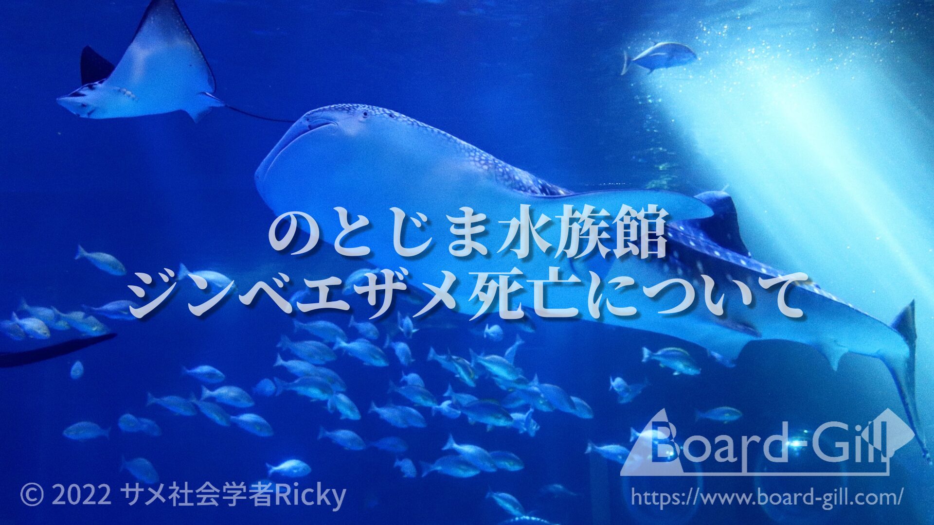 のとじま水族館ジンベエザメ死亡について解説した記事サムネイル