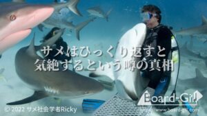 サメはひっくり返ると気絶？サメの”死んだふり”トニックイモビリティの